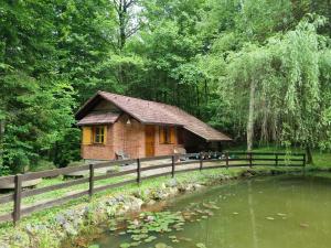 ein kleines Haus mitten in einem Teich in der Unterkunft Cottage by the pond Pavel in Šmarje pri Jelšah