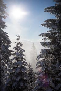 Paisaje cerca de este albergue