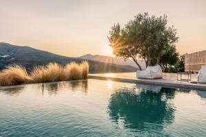 una piscina infinita con un árbol y el sol en el fondo en Saffron Boutique, en Krokos