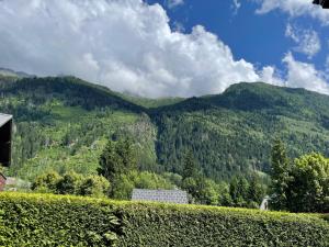ein Blick auf die Berge von einer Hecke aus in der Unterkunft Apartment Ginabelle 1-2 by Interhome in Chamonix-Mont-Blanc