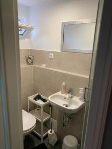 ein Bad mit einem Waschbecken und einem WC in der Unterkunft Tiny-Ferienwohnung Hellerau 2 in Dresden