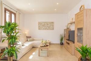 sala de estar con sofá y TV en Villa Placeta, en Sa Pobla