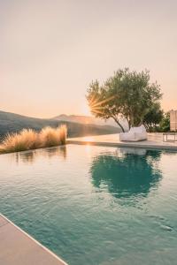 a swimming pool with a tree in the background at Saffron Boutique in Krokos