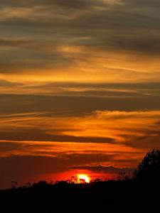 Gallery image of Alquimia Chalés in Lima Duarte +35 photos