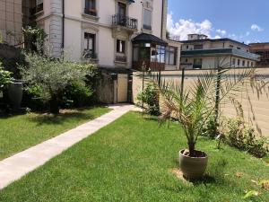 a potted plant in a yard in front of a house at Soumia in Territet