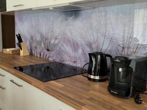 a kitchen counter with a coffee maker and a coffeemaker at Apartament Wśród Kasztanów in Puck