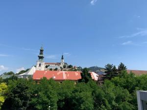 Fotografie z fotogalerie ubytování Hotel Alexander's v destinaci Nitra