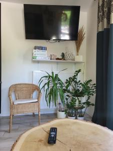 salon z telewizorem, krzesłem i roślinami w obiekcie Apartament Pod Jelonkiem w Szklarskiej Porębie