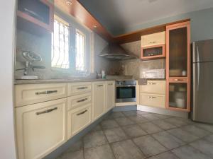 A kitchen or kitchenette at Villa Dolphin Akrata