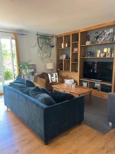 ein Wohnzimmer mit einem blauen Sofa und einem TV in der Unterkunft Maison Chessy in Chessy