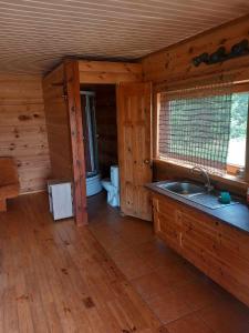 a kitchen with a sink in a wooden cabin at Poilsis Dumblio telmologiniame draustinyje in Molėtai