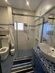 a bathroom with a shower and a sink and a toilet at Apartment by the Beach in Neoi Epivates