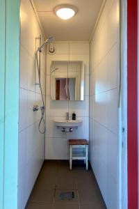 a bathroom with a shower and a sink and a mirror at Northern Light Cabin Lofoten in Sennesvik