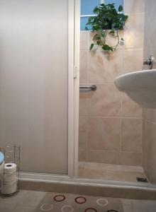 een badkamer met een douche en een wastafel bij Bonita y amplia habitación cerca del WTC in Mexico-Stad