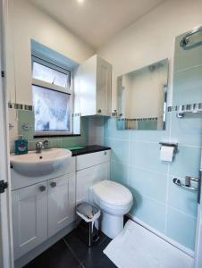 a bathroom with a white toilet and a sink at Tranquil Retreat in Bicester in Bucknell