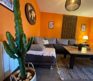 un soggiorno con divano e cactus di OHA CASES ad Audenge