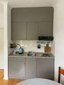 a kitchen with a sink and a counter top at Apartment VilaPark 14 in Rogaška Slatina