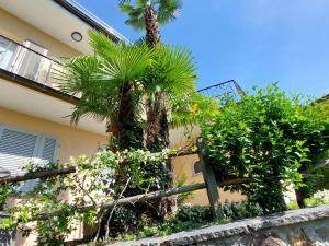 un palmier devant un bâtiment dans l'établissement Apartment Mulino Vecchio by Interhome, à Ronco sopra Ascona