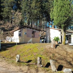 a small house on top of a hill with trees at Fattoria la Ginestra, Museo della Civiltà Contadina in Fabriano