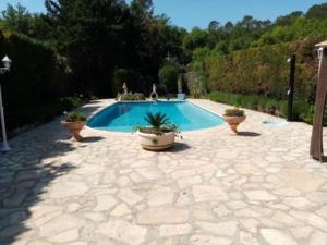 uma piscina com dois vasos de plantas num quintal em Villa le thoronet em Le Thoronet
