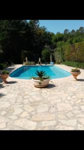 uma piscina com um vaso de plantas num quintal em Villa le thoronet em Le Thoronet