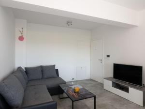 TV a/nebo společenská místnost v ubytování Apartment Franka by Interhome