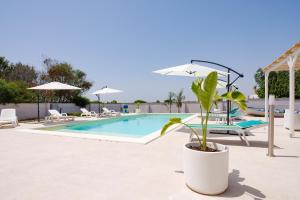 une plante dans un pot à côté d'une piscine dans l'établissement Villa Chiara, à Lecce