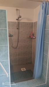 W łazience znajduje się prysznic z zasłoną prysznicową. w obiekcie Oáza klidu w mieście Hrádek