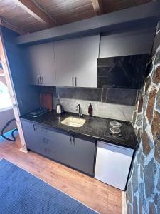 eine Küche mit einer Spüle und einer Arbeitsplatte in der Unterkunft Oruba bungalov in Rize