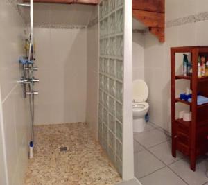 a bathroom with a shower and a toilet at Grande maison confortable à Bagnères in Bagnères-de-Bigorre +14 photos