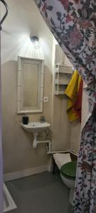 a bathroom with a sink and a toilet and a mirror at Cottages et B&B de Troussay in Cheverny
