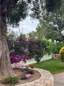 カルテロスにあるAMNISIADES APARTMENTSのギャラリーの写真