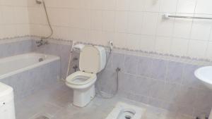 a bathroom with a toilet and a tub and a sink at Madinah Anbariah in Medina