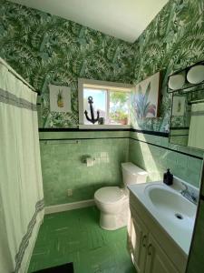 a green bathroom with a toilet and a sink at NEW! Mid-Century Modern Themed Family Home! in Vermilion