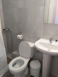 a bathroom with a white toilet and a sink at Golden Beach-Tsianis Apartments in Néa Meságkala