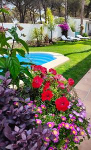einen Garten mit roten Blumen und einem Pool in der Unterkunft Villa Zahara in Chiclana de la Frontera