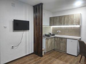 cocina con fregadero y TV en la pared en Petrović Apartman, en Vrnjačka Banja