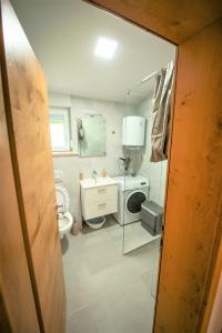 een badkamer met een toilet, een wastafel en een spiegel bij Holiday Home Marino in Zmijavci