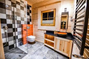 La salle de bains est pourvue de toilettes, d'un lavabo et d'une douche. dans l'établissement Osada na Budzowskim Wierchu, à Zakopane