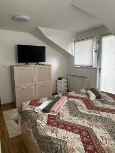 1 dormitorio con 1 cama y TV en la pared en Villa Mercurii, en Sarajevo