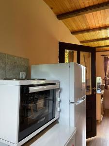a kitchen with a refrigerator and a microwave at Vikendica Jagoš in Mitrovac