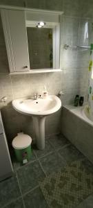 uma casa de banho com um lavatório, um WC e uma banheira em Sobe Lara em Donji Milanovac
