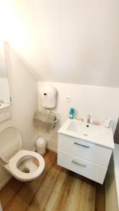 a bathroom with a toilet and a sink at Spacieux studio à 7min de Walibi in Les Avenières