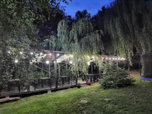 a garden at night with a gazebo with lights at Craita in Căpăţîneni-Ungureni