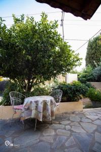 Zahrada ubytování Odysseus Cozy Home