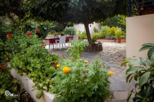 Zahrada ubytování Odysseus Cozy Home