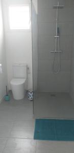 uma casa de banho com um chuveiro, um WC e um tapete azul em Location bas de villa em Le Moule