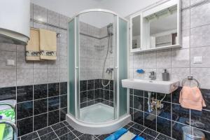 a bathroom with a shower and a sink at Valeria Apartment in Vabriga