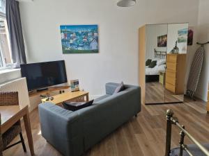 sala de estar con sofá y espejo grande en Direct Booking Prices, Studio Apartment, Free Parking, Wifi, Central, Quiet, en Exeter