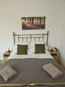 sypialnia z dużym łóżkiem z 2 poduszkami w obiekcie Direct Booking Prices, Studio Apartment, Free Parking, Wifi, Central, Quiet w mieście Exeter